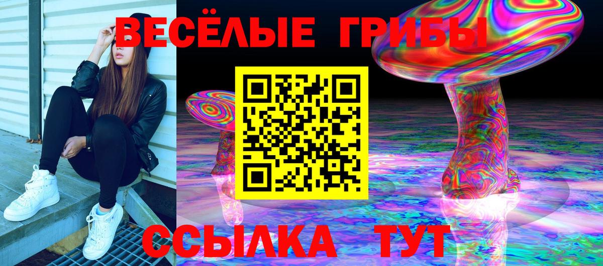 наркота  Псилоцибиновые грибы мухоморы  Вход с VPN  Псилоцибиновые грибы Psilocybe  Обь 