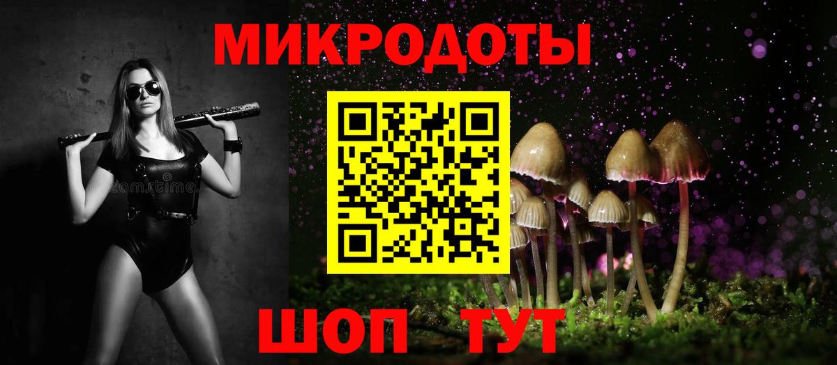 Псилоцибиновые грибы Psilocybe Обь